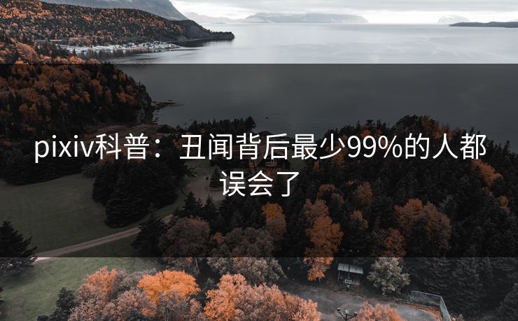 pixiv科普:丑闻背后最少99%的人都误会了 pixiv科普:丑闻背后最少99%的人都误会了