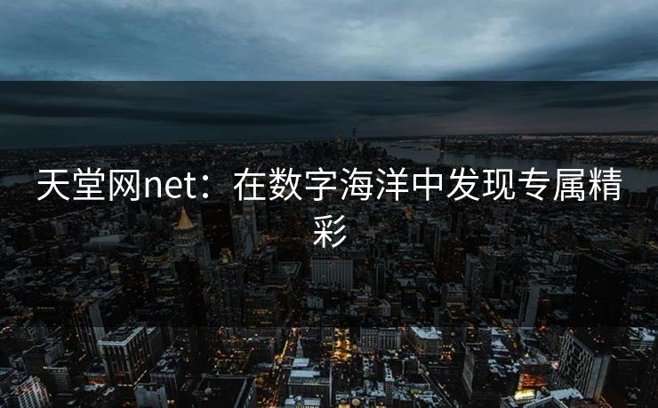 天堂网net：在数字海洋中发现专属精彩