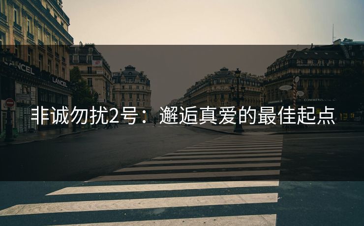非诚勿扰2号：邂逅真爱的最佳起点
